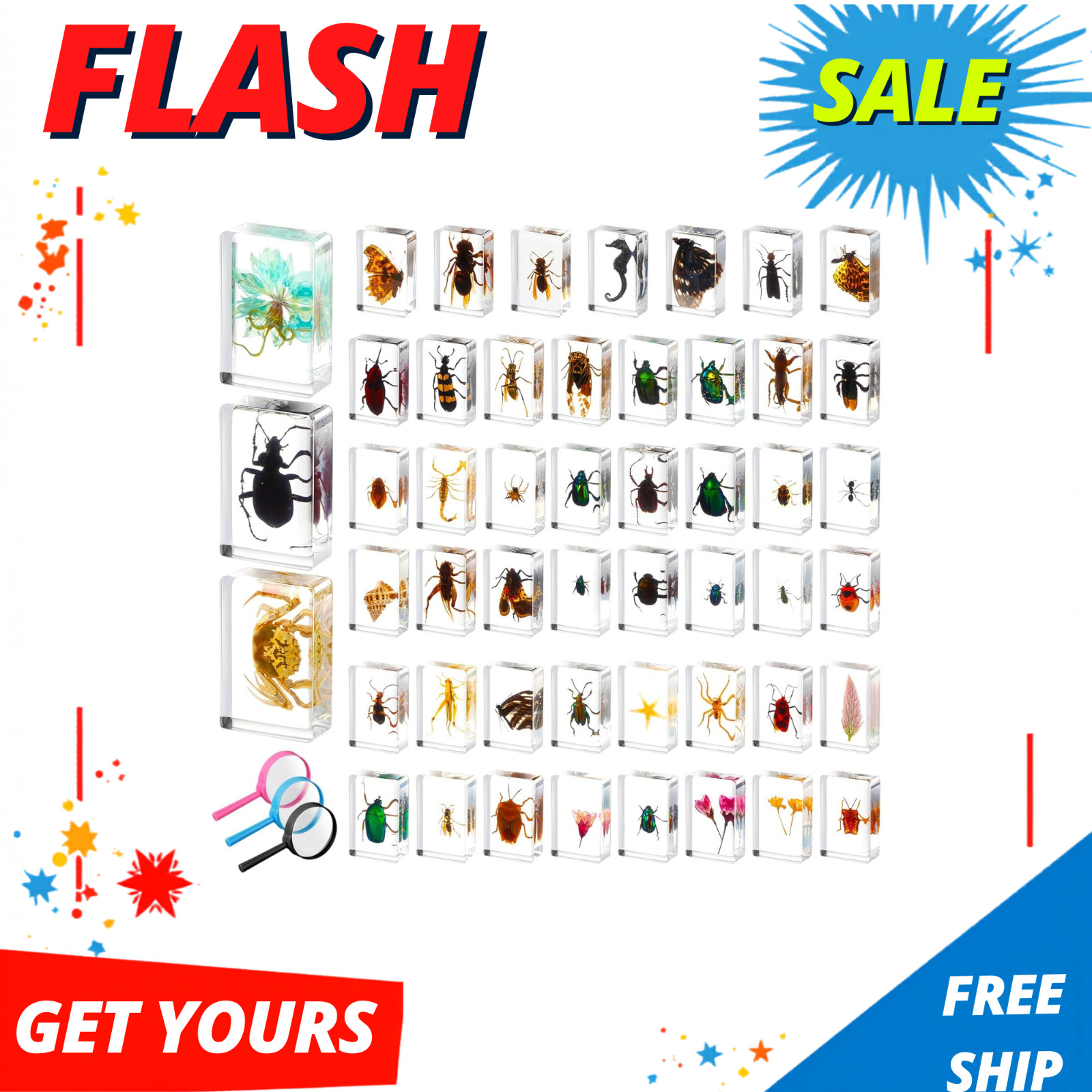 50 Pcs Insect in Resin Specimen Various Bugs Collection Paperweights Bug Kit Pre 50 Pcs Insect in Resin Specimen Various Bugs Collection Paperweights Bug Kit Pre
