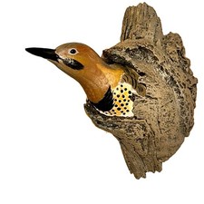 Wall Hanger Northern Flicker Decoy Loon Lake Decoy Replica By Sam Nottleman picture