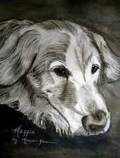 YOUR PET PORTRAIT ACEO Original WATERCOLOR Pretty Sepia Tone ~ Free Shipping! ❤️ picture