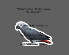 African Grey Parrot Sticker Waterproof Decal Bird Pet Animal Exotic Gift NEW picture