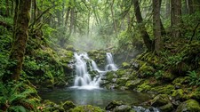 Digital Image Picture Photo Wallpaper Background Desktop AI Art Sample Product picture