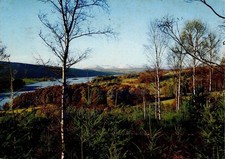 Scotland / Loch Ken / Rhinns of Kells / 1973 / Postcard / Kirkcudbrightshire picture