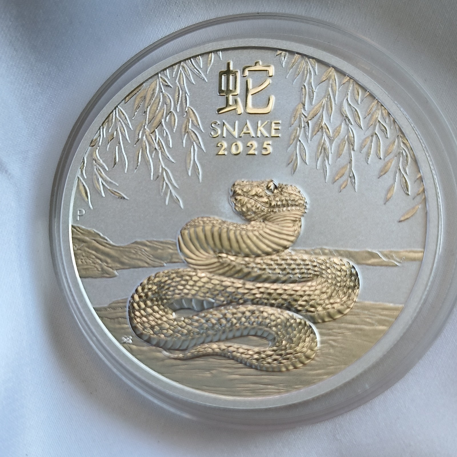 Perth Mint 2025 Australian Lunar Snake $1 1 oz .9999 Silver Coin Uncert