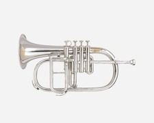 Flugel Horn NICKE Bb Flat 4 Valve With Hard Case Mouthpiece FLUGELHORN picture