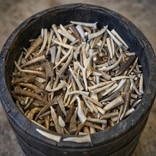 BULK 10 Pounds - Deer & Elk Antler Tips, Tines *Slightly Blemished* - 1" to 6" * picture