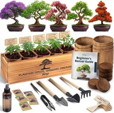 Bonsai Tree Kit for Beginners – 5X Unique Japanese Bonzai Trees picture