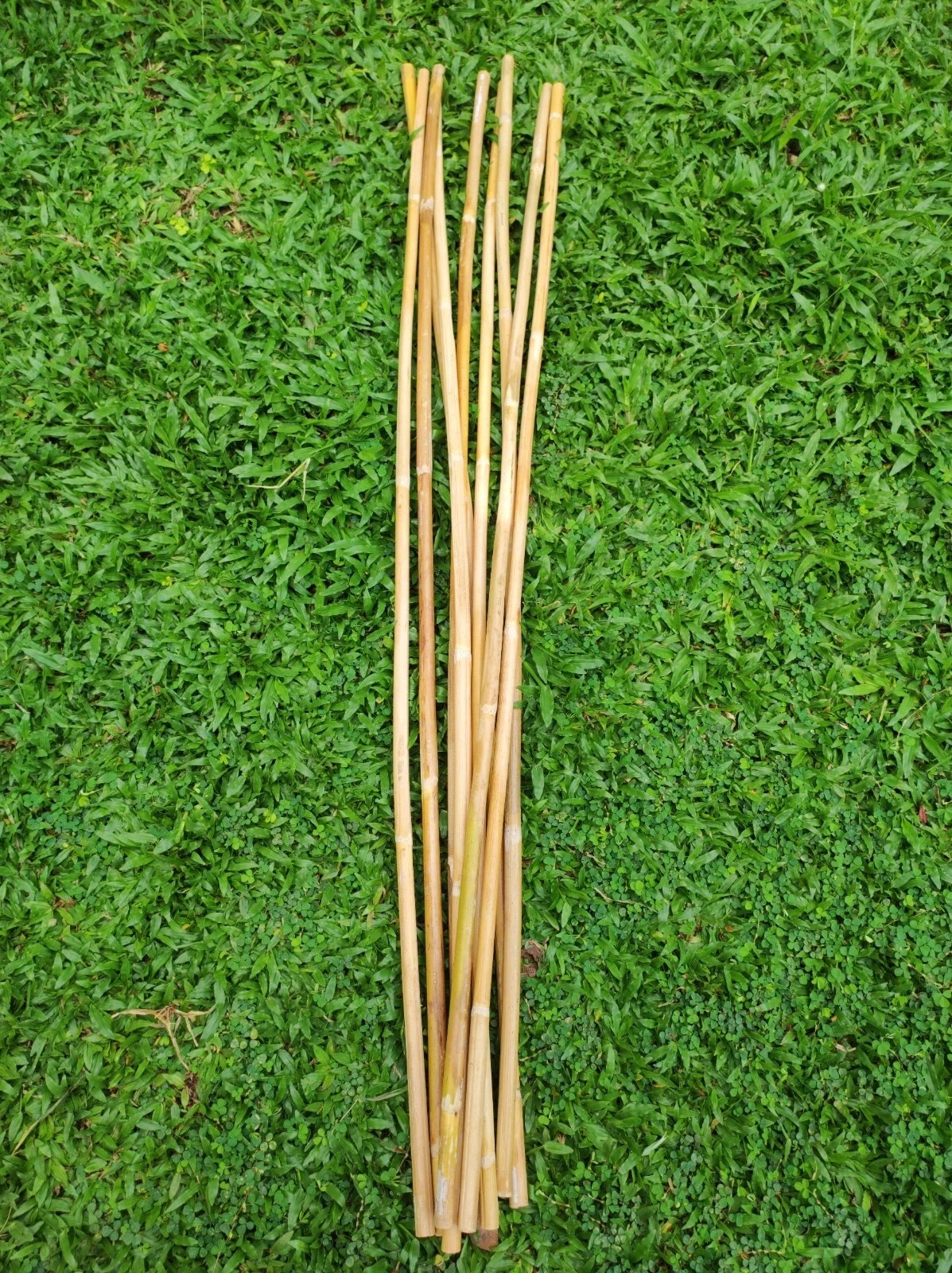 Rattan Cane Sticks 3pcs - Flexible/ Natural/ 0.6-0.8 cm diameter/ 40" length Rattan Cane Sticks 3pcs - Flexible/ Natural/ 0.6-0.8 cm diameter/ 40" length