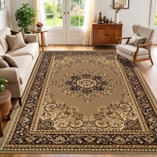Leopold Formal Medallion Oriental Carpet Rug Indoor Large Area Rugs picture