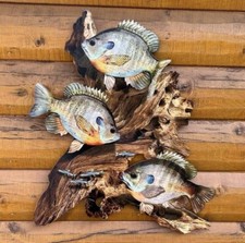 Bluegill Replica Driftwood Scene, Rustic Decor, Lodge Decor, Bluegill 2D Scene picture