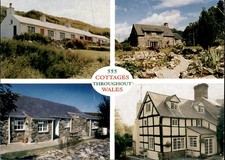 Wales Holidays Cottage Selection 555 Postcard picture