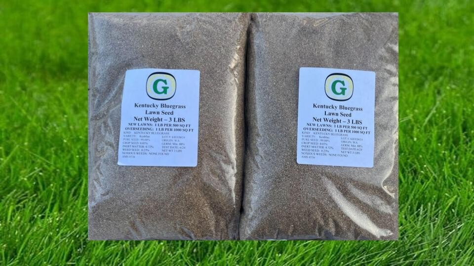 Kentucky Bluegrass Grass Seed - 6 lbs - Direct from Grower - Beautiful Lawn Kentucky Bluegrass Grass Seed - 6 lbs - Direct from Grower - Beautiful Lawn
