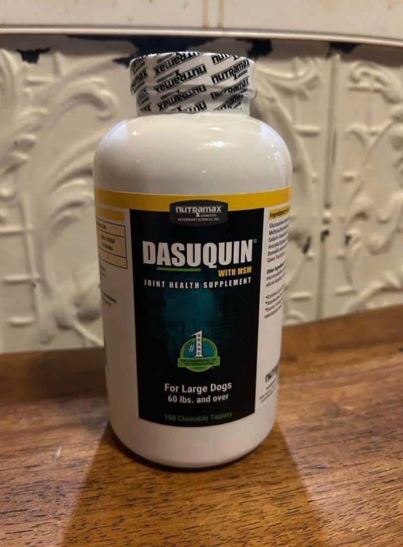 Nutrx Dasquin MSM Hip & Joint Chewable Tablets Joint Supplement ,Large Dogs,2029 Nutrx Dasquin MSM Hip & Joint Chewable Tablets Joint Supplement ,Large Dogs,2029