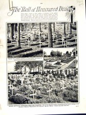 Original Old Antique Print 1916 World War Military Cemetary Dead Honoured Roll picture
