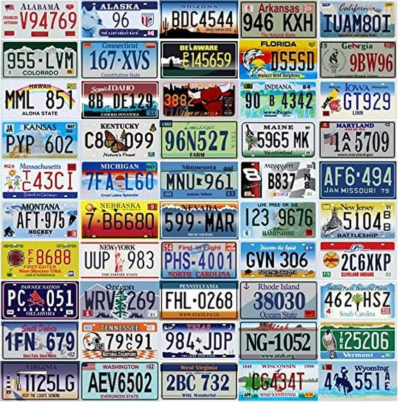 50 Decorative Metal License Plates - USA Wall Decor for Man Cave & Garage 50 Decorative Metal License Plates - USA Wall Decor for Man Cave & Garage