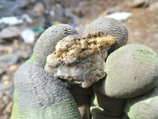 Lifetime RMPA Membership. Unlimited Access to 18 Mining Claims. Find Real Gold! picture
