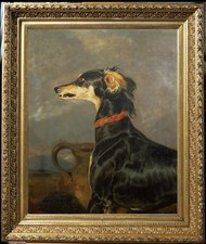 Hand painted Greyhound Dog Portrait Oil Painting Antique Style Art Canvas Animal picture