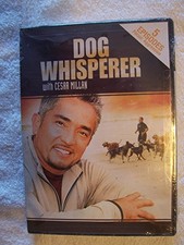 Dog Whisperer (Aggressive Behavior) 2006 - DVD - VERY GOOD picture