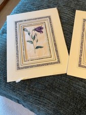 curtis botanical antique prints picture