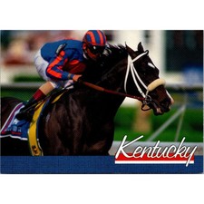 Racing In Kentucky A Jockey Riding A Dark Colored Horse Vintage Postcard SPQ7 picture