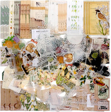 260 PCS Vintage Scrapbooking Supplies Kit for Beginners (Natural) | Large Collec picture