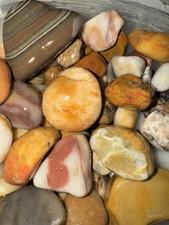 Michigan rocks and fossils  picture