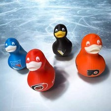 Hockey Ducks - Team Spirit Collectibles picture