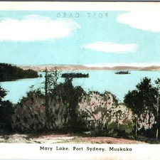 c1920s Mary Lake Port Sydney Muskoka ON Postcard Lake View Huntsville Forester picture