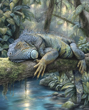 Green Iguana Resting Above Jungle Stream Print - 364946519 picture