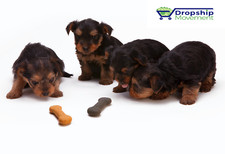 Start your own online Pet store DONE FOR YOU TURNKEY WEBSITE picture
