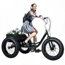7 Speed Fat Tire Tricycle 20in 450lbs Dual Disc Brake for Adult 67.7in picture