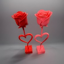 Valentines Day Rose picture