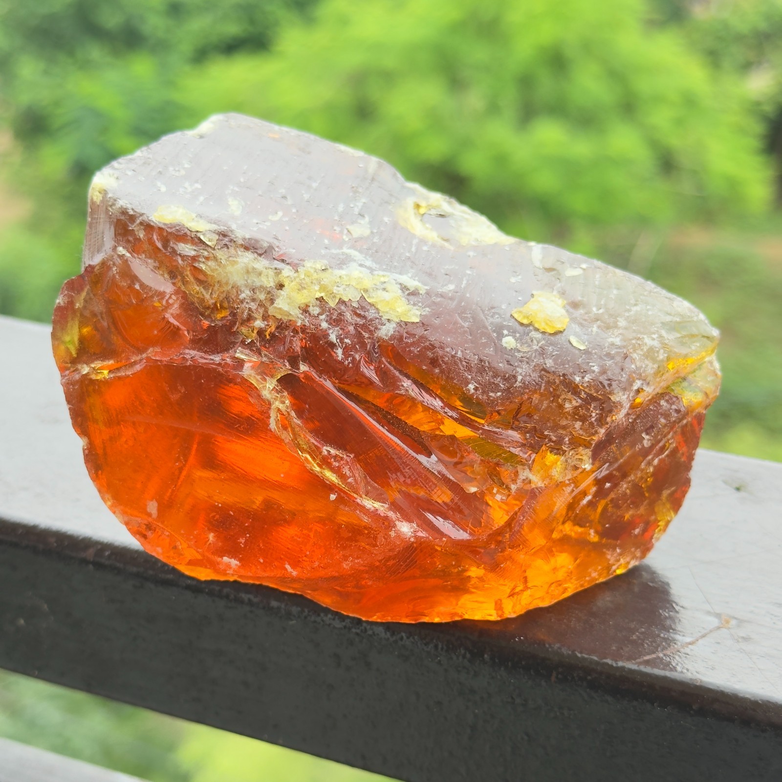 Certified 1620 Ct Natural Amber Rough – Translucent Raw Gemstone from Lithuania