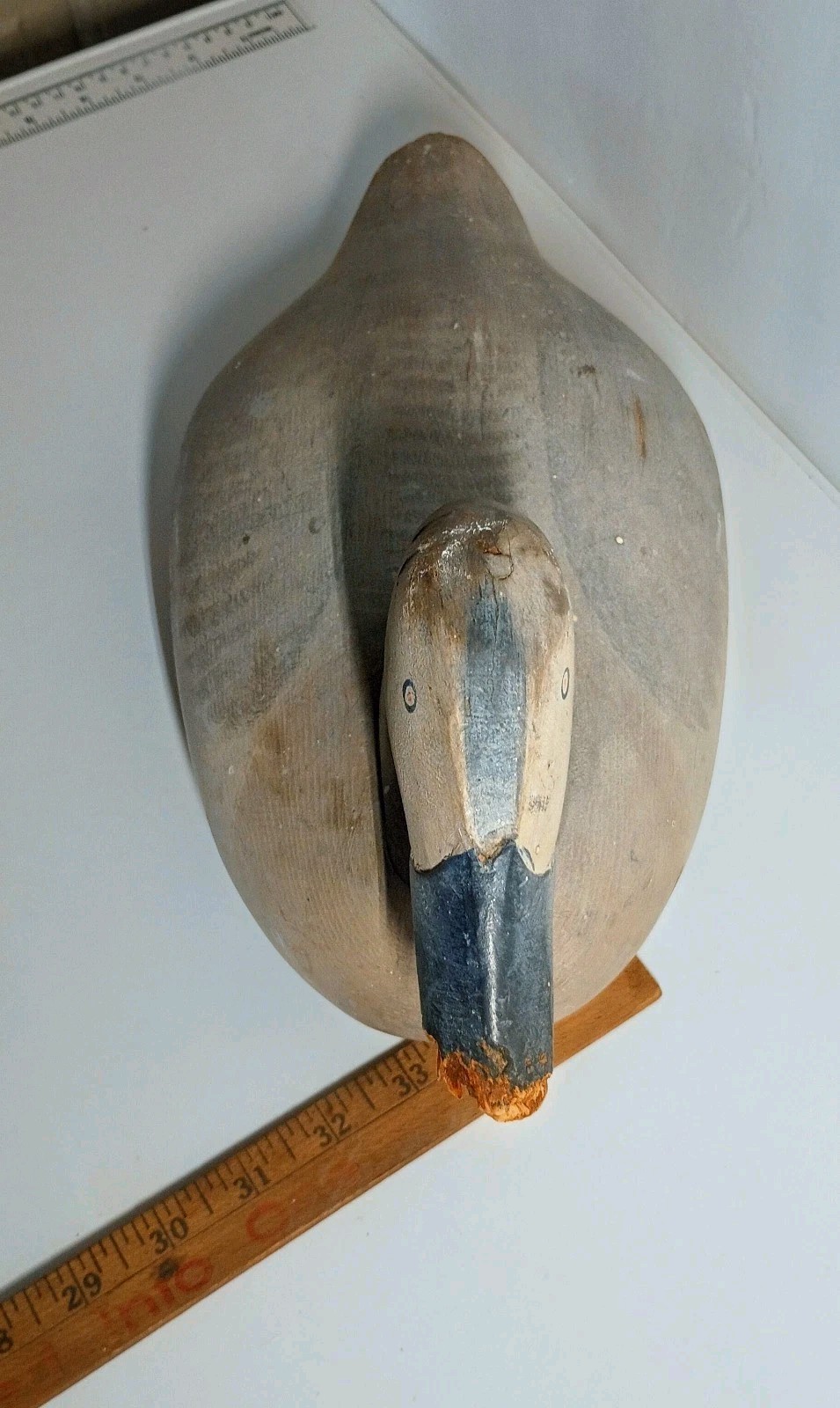 Paul Gibson Canvasback Hen Duck Decoy Havre De Grace Maryland Original Paul Gibson Canvasback Hen Duck Decoy Havre De Grace Maryland Original