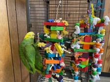 2 Pack Block Knots 9.7 inch Multicolored Natural Wooden Parrot Chewing Toy picture