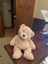 Soft Cuddly Gund Teddy Bear picture