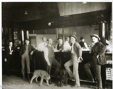 Old Time Saloon Beer Drinking Bobcat and Poodle In Bar Vintage Saloon Wildcat picture