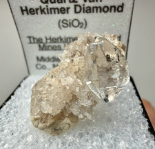 Herkimer Diamond Perched on Druzy Matrix, A Grade Gem w/ Black Hydrocarbon Seed picture