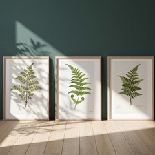 Set of 3 Botanical Fern Art Prints A4 Vintage Woodland Plant Wall Gallery Decor picture