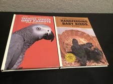 Lot Of 2 Training African Grey Parrots, Hand Feeding Baby Birds picture