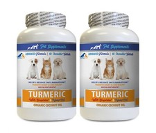 dog skin problems - DOG CAT COCONUT & TURMERIC - hemp dog treats 2B picture