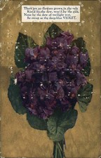 VIOLETS Botanic Flowers w BRAILLE MESSAGE Antique Postcard picture