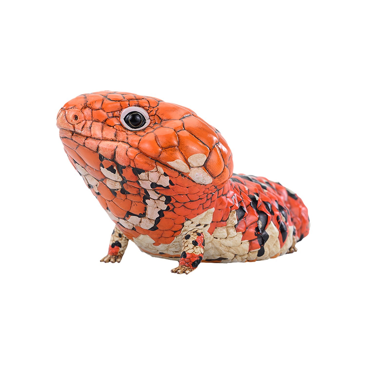 Animal Heavenly Body Goldfields Shingleback Skink Statue Tiliqua rugosa rugosa Animal Heavenly Body Goldfields Shingleback Skink Statue Tiliqua rugosa rugosa
