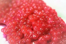 Cured King Salmon Skein Fishing Bait picture