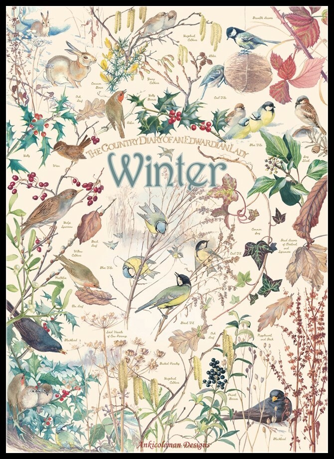 Country Diary Winter - Chart Counted Cross Stitch Patterns Needlework DIY DMC Country Diary Winter - Chart Counted Cross Stitch Patterns Needlework DIY DMC