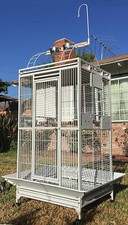 Large Elegant Double Ladders Open PlayTop Parrot Cage For Cockatiel Macaw Conure picture
