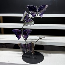 6" Natural Colored fluorite Butterfly quartz crystal Heal Gift 1pc picture