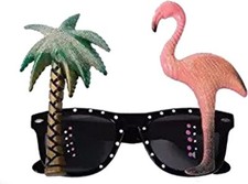 PMU Sunglasses Holder Party Favor Accessory picture