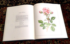 The Language of Roses HC Book Illustrated by Anne Marie Trechslin + BONUS picture