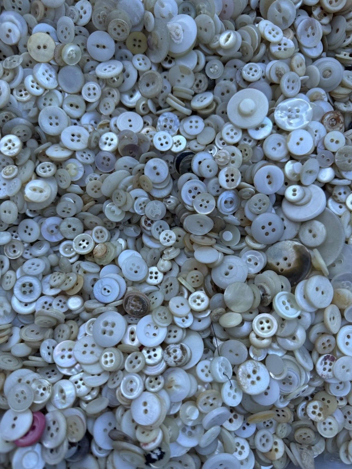 1lb Scoop White Buttons Mix Mother of Pearl Shell Craft Sewing Cottagecore 1lb Scoop White Buttons Mix Mother of Pearl Shell Craft Sewing Cottagecore
