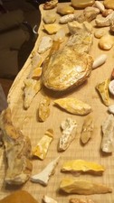 Assorted Natural Rocks and Minerals and dinosaur fossils Display picture